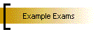 Example Exams