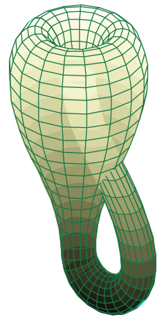 :::::240px-Klein_bottle.svg.png